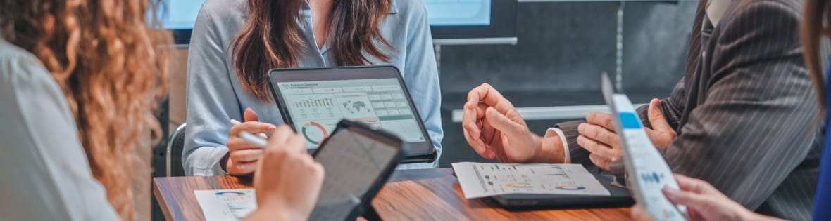 irs audit