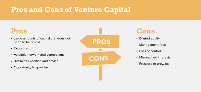 pros and cons of venture capital