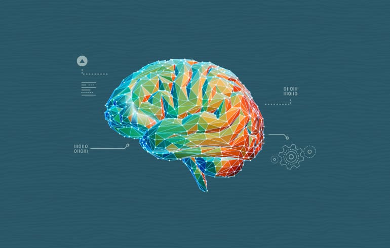 Brain