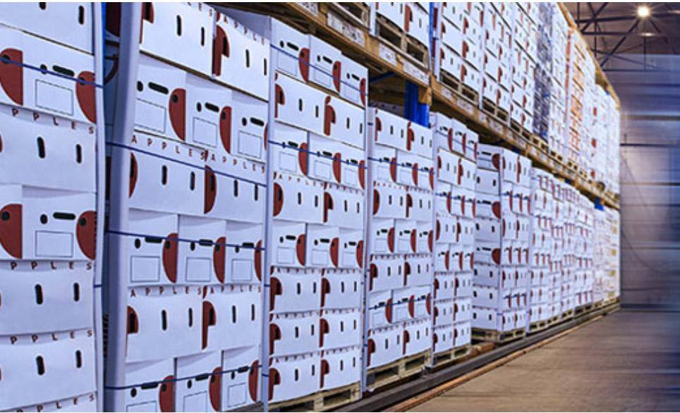 supplychain sustainability