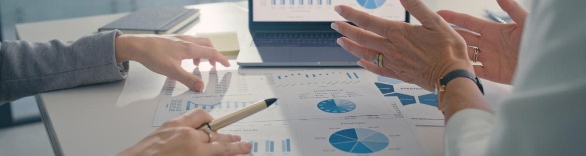 erp analytics