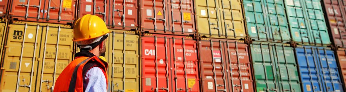 handle supply chain disruptions