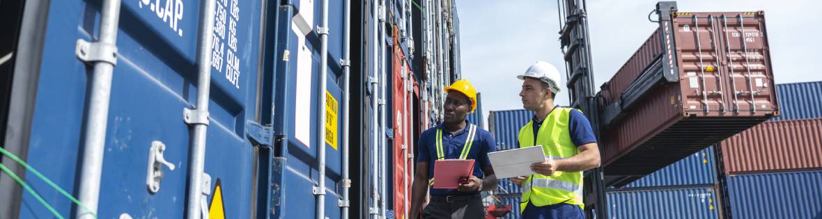 supply chain bottlenecks
