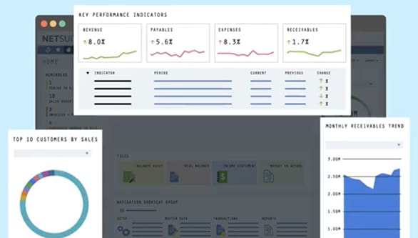 infographic netsuite dashboard portlets