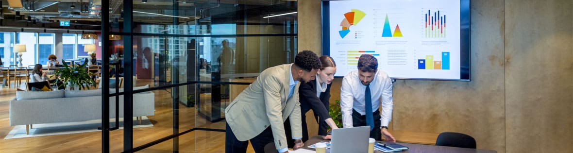 financial statement audit