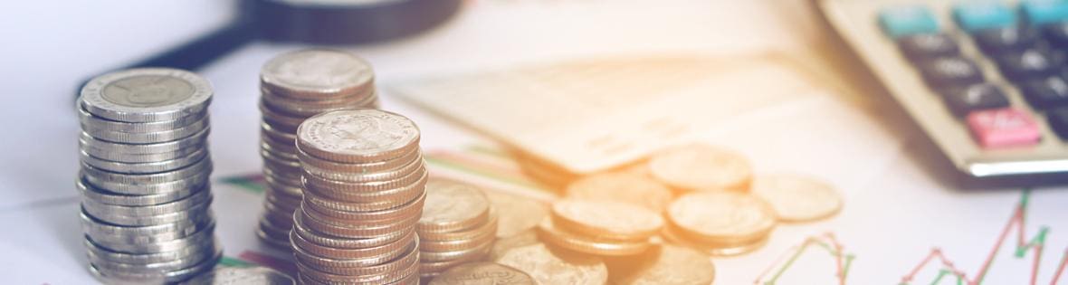 gross profit margin