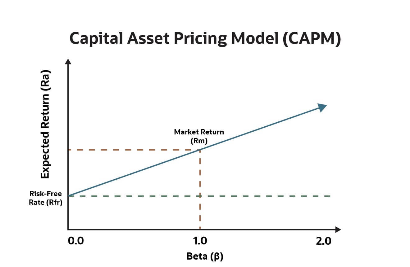 infographic capital asset pricing model