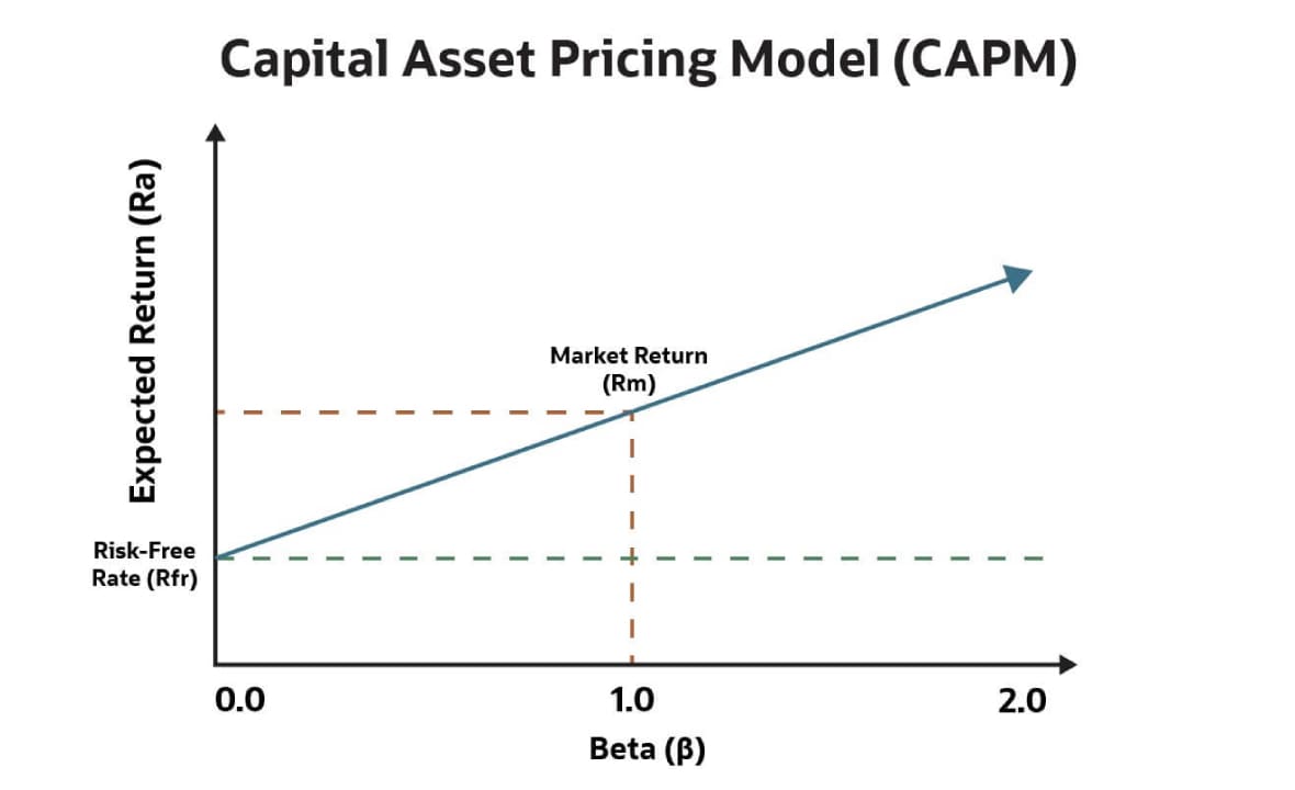 What Is the Capital Asset Pricing Model (CAPM)? An Expert Guide | NetSuite