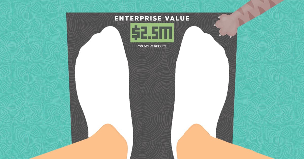 What Is Enterprise Value (EV)? Importance & How to Calculate NetSuite