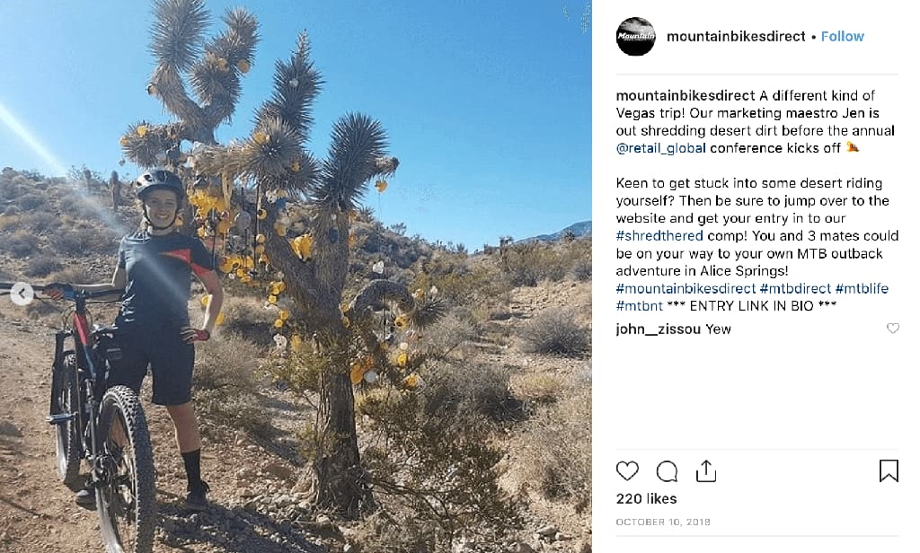 Employees at MTB Direct work remotely