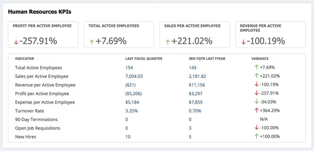 infographic netsuites customizable hr dashboard