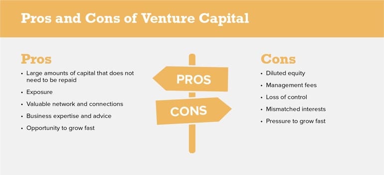 pros and cons of venture capital