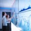 data profiling