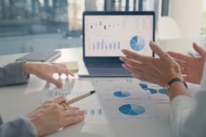 erp analytics