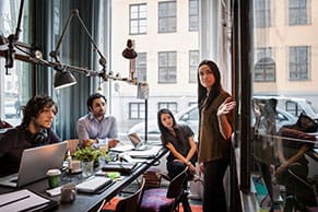 ERP Implementation team