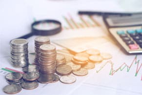 gross profit margin