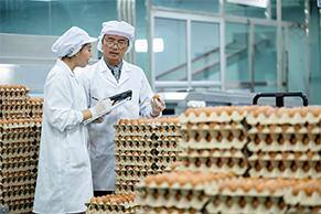 improve production quality