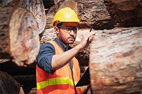 lumber inventory management