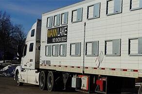 NetSuite Automation Improves Mann Lake Bee & Ag Supply Productivity & Efficiency