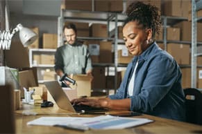small business erp