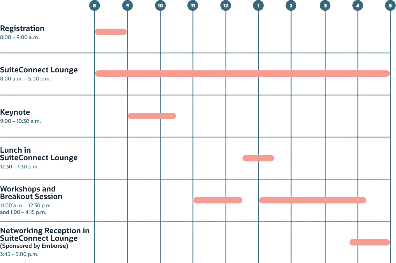 SuiteConnect New York City NetSuite