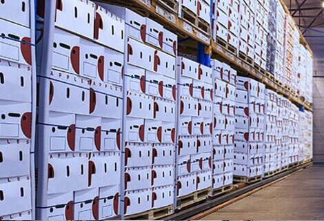 Supply Chain Sustainability: Why It Is Important & Best Practices