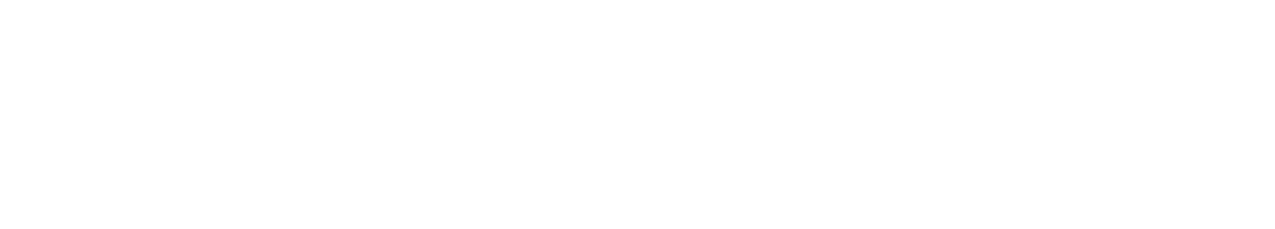 Precision Medical Product Logo