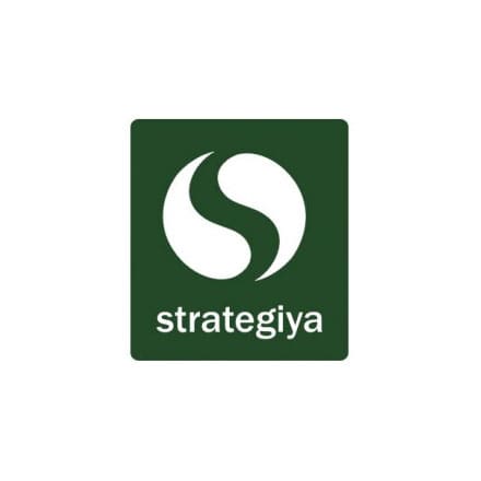 Strategiya logo
