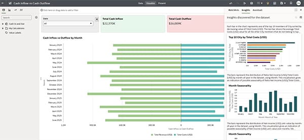 NetSuite Data Warehouse Inflows Outflows