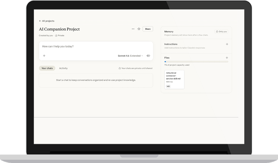 NetSuite AI Connector Service Companion Skills