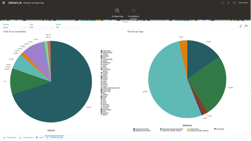 EPM Tax Reporting Dashboard
