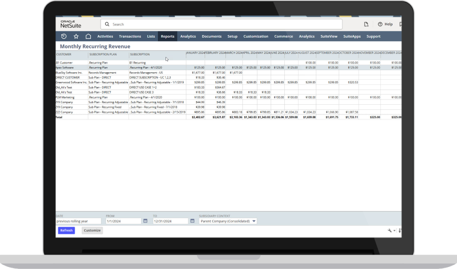 NetSuite Reporting Dashboard.