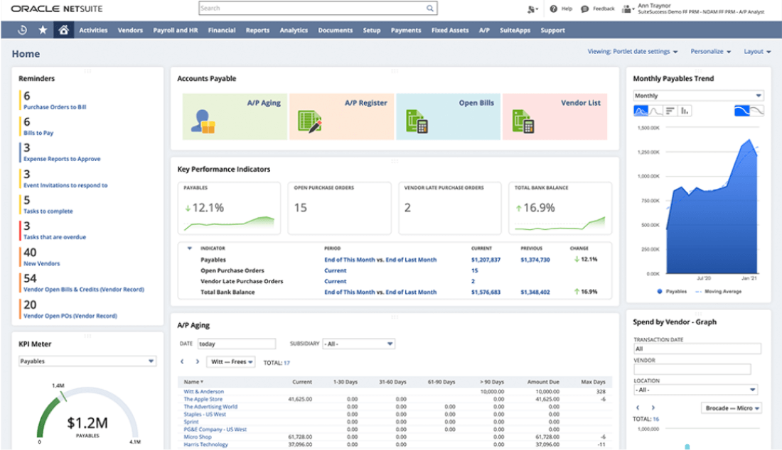 Netsuite Chart Of Accounts Sample