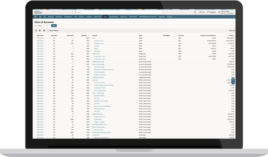 Netsuite Chart Of Accounts Sample