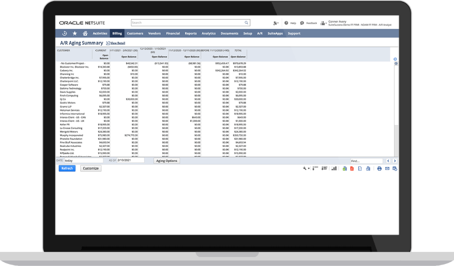 Netsuite Chart Of Accounts Sample