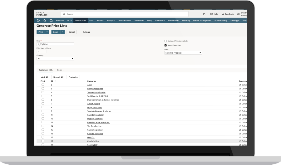 NetSuite Dashboard. Screenshot.
