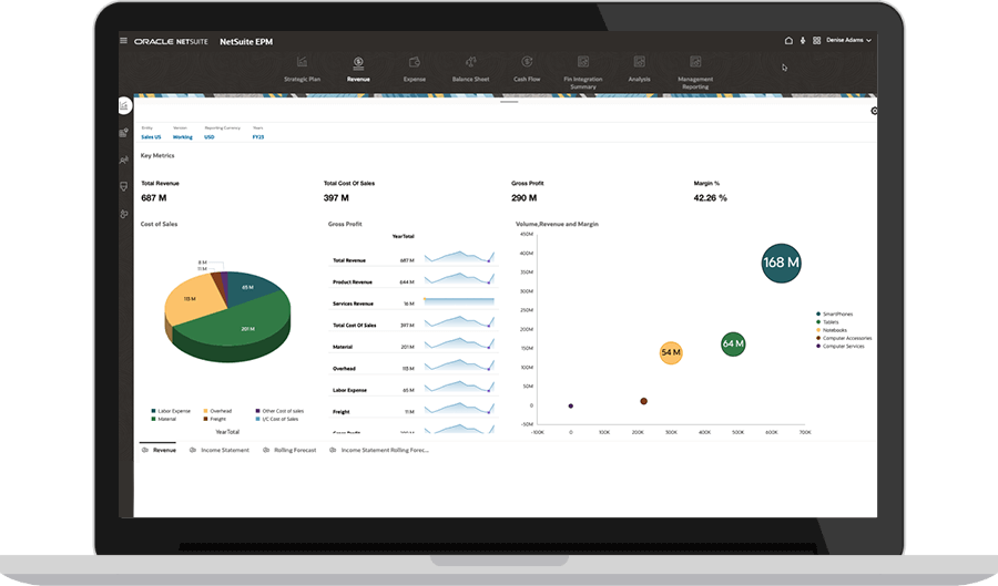 NetSuite Enterprise Performance Management dashboard