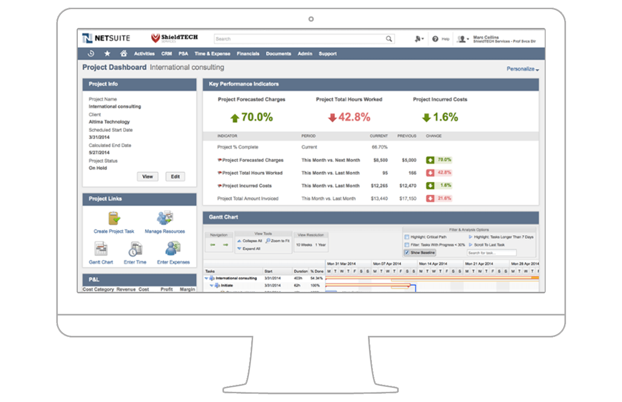 User Interface Netsuite