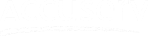 Accuserv Logo