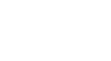 Fink Logo