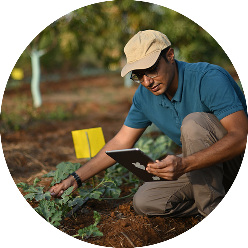 Challenges Thumbnail