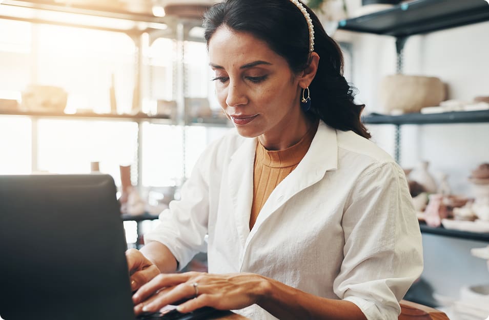 NetSuite Museum Accounting Software Thumbnail