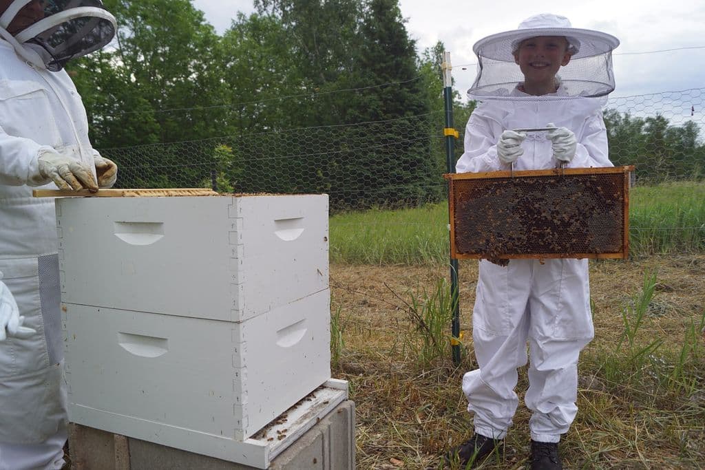 Mann Lake beekeeper showing hive