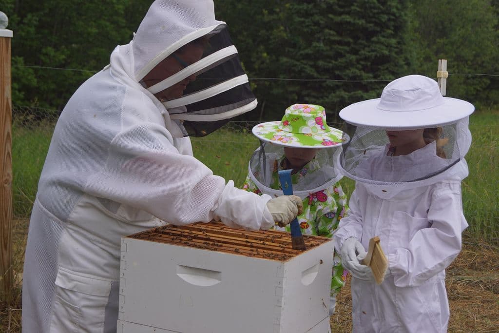 mann lake beekeeping