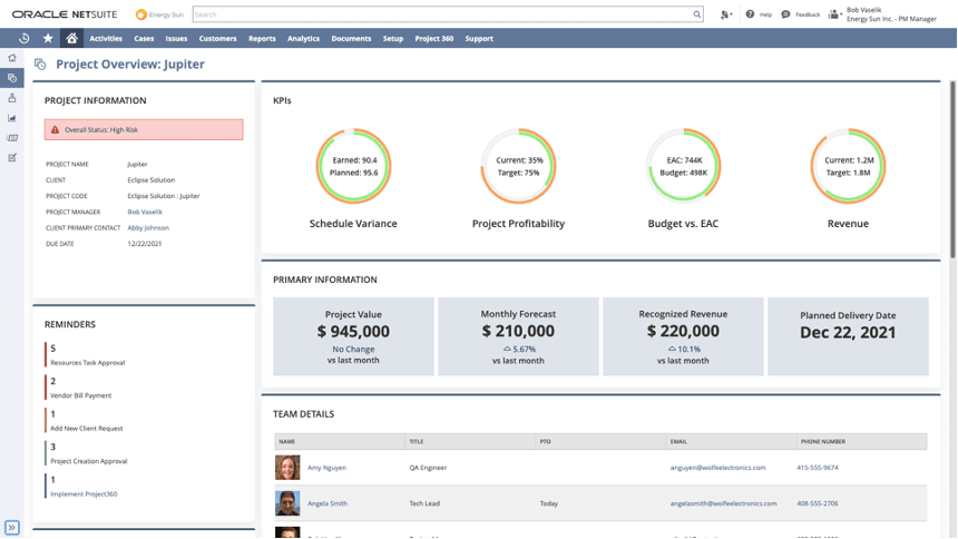 NetSuite Project 360 dashboard.