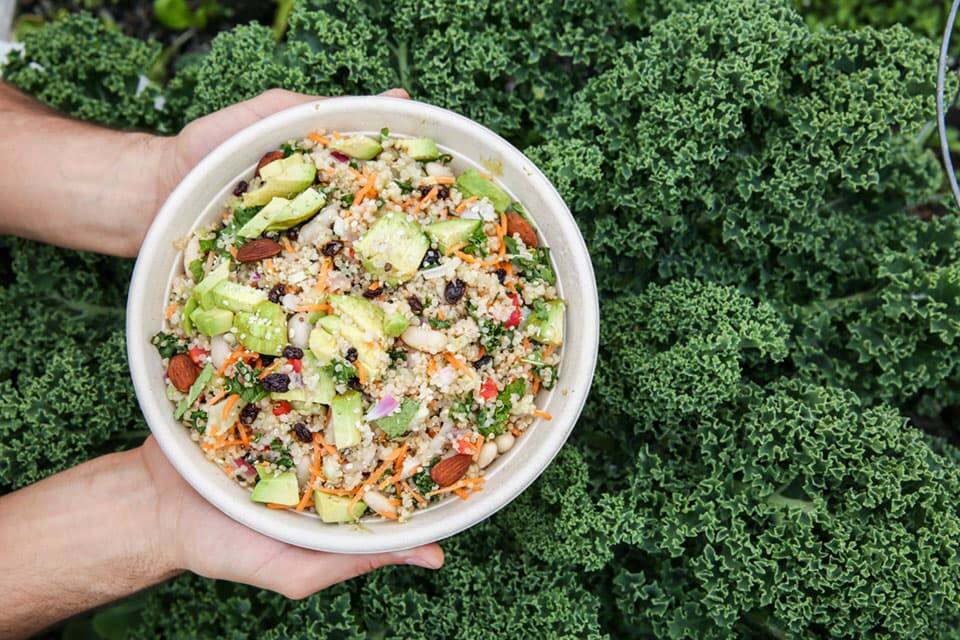 Veggie Grill