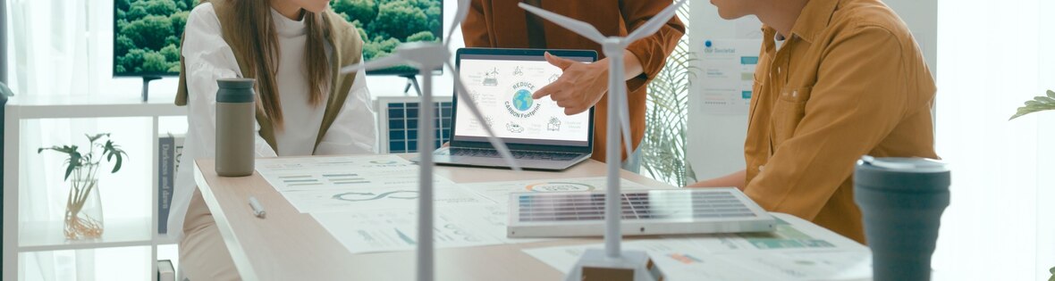 What Is Design for Sustainability (DfS)?