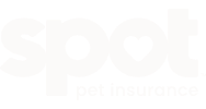 Spot Pet Insurance
