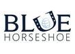 blue horseshoe